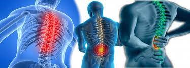 Columna Vertebral